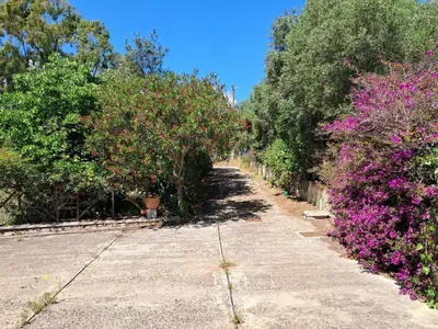 Giardino di fmp-ps01 villa 300 metri mare 4 letto