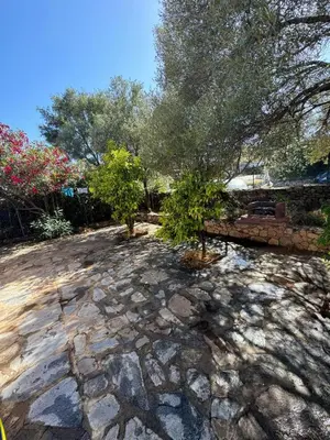 Giardino di Casa vacanza San Teodoro