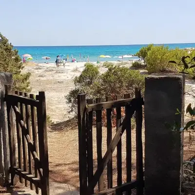 Beachfront villa