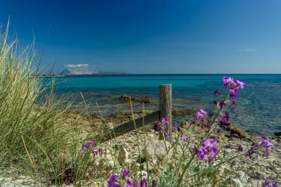 Paesaggio naturale nelle vicinanze della villa
