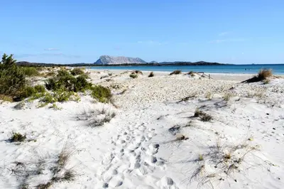 Paesaggio naturale nelle vicinanze della villa