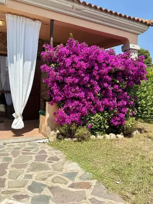 Giardino di Mattias Home