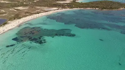 Paesaggio naturale nelle vicinanze dell'appartamento