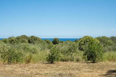 Paesaggio naturale nelle vicinanze dell'appartamento