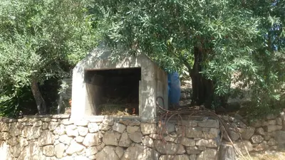 Planimetria di Arianna