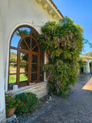 Giardino di Tenuta Le Terre 1927