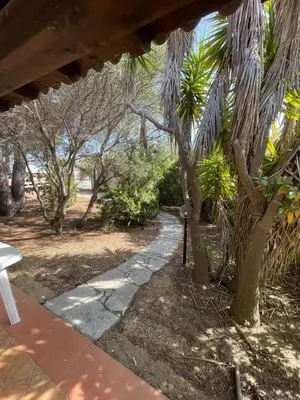 Giardino di Veranda sul mare , i Pini