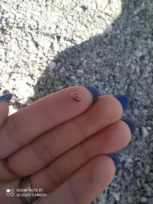 Planimetria di Casa La Pavoncella