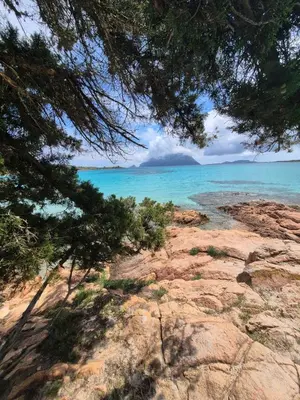 Paesaggio naturale nelle vicinanze dell'appartamento