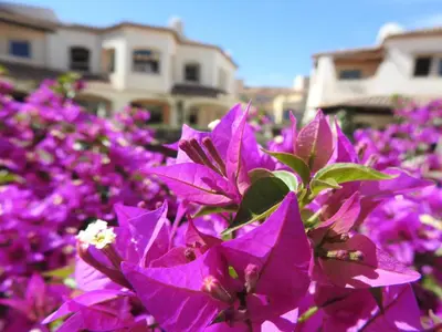 Giardino di Casa Felice