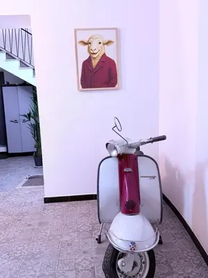 Planimetria di B e Bo