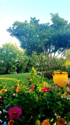 Giardino di La Casa dell'Artista - Villa completamente recintata con giardino privato
