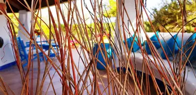 Planimetria di La Casa dell'Artista - Villa completamente recintata con giardino privato