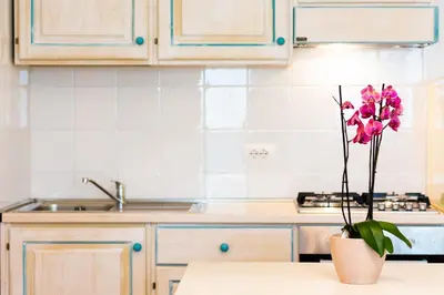 Cucina o angolo cottura di Appartamenti Baia Marina