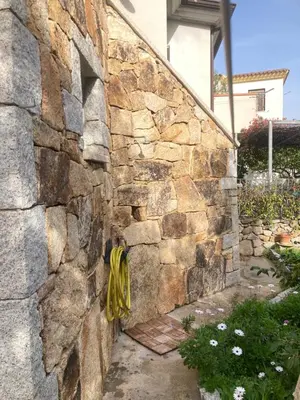 Planimetria di Olivastro