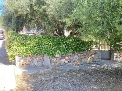 Giardino di Olivastro