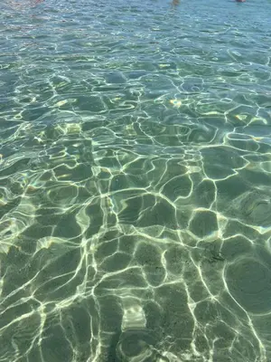 Paesaggio naturale nelle vicinanze dell'appartamento
