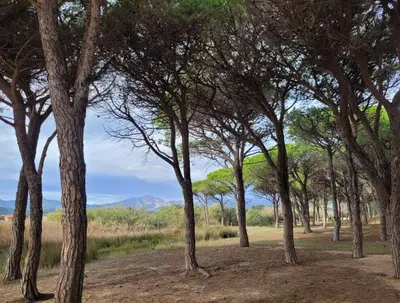 Paesaggio naturale nelle vicinanze dell'appartamento