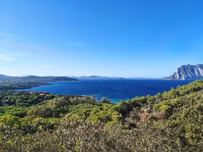 Paesaggio naturale nelle vicinanze dell'appartamento