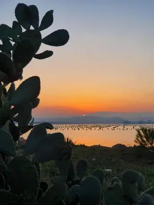 Paesaggio naturale nelle vicinanze della casa vacanze