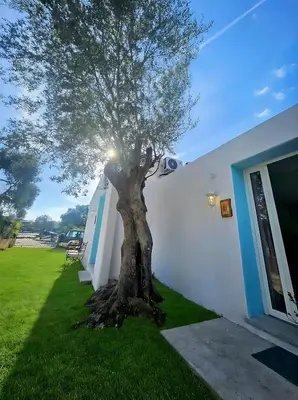 Giardino di Il Giardino delle Fate
