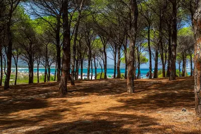Paesaggio naturale nelle vicinanze dell'appartamento