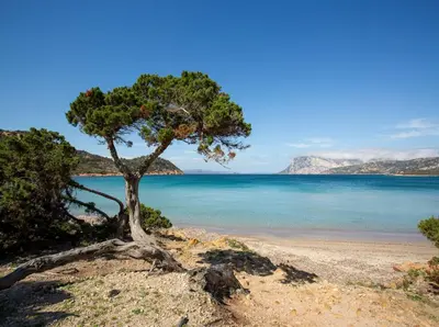 Paesaggio naturale nelle vicinanze dell'appartamento