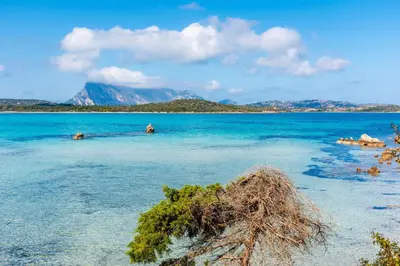Paesaggio naturale nelle vicinanze dell'appartamento