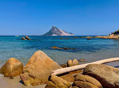 Paesaggio naturale nelle vicinanze dell'appartamento