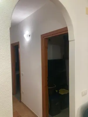 Planimetria di Gelsomino