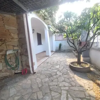 Gelsomino