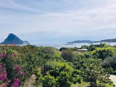 Paesaggio naturale nelle vicinanze dell'appartamento