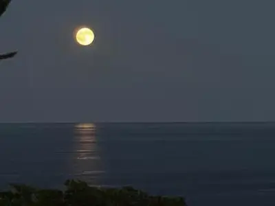 Paesaggio naturale nelle vicinanze dell'appartamento