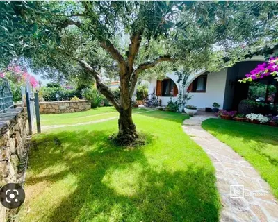 Giardino di BeLocations - Villa a San Teodoro con piscina privata