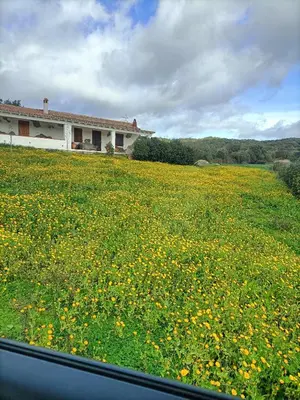 Paesaggio naturale nelle vicinanze dell'appartamento