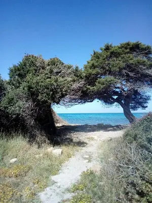 Paesaggio naturale nelle vicinanze dell'appartamento