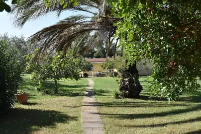 Giardino di Casa vacanze Capo Comino