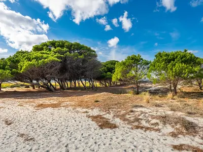 Paesaggio naturale nelle vicinanze dell'appartamento