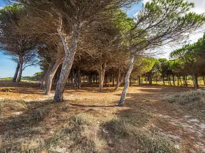 Paesaggio naturale nelle vicinanze dell'appartamento