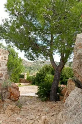 Paesaggio naturale nelle vicinanze della casa vacanze