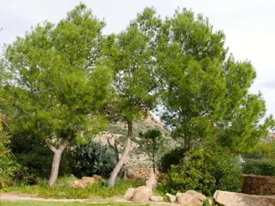 Giardino di Holiday Home Anania by Interhome