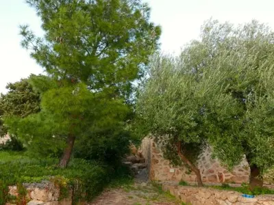 Paesaggio naturale nelle vicinanze della casa vacanze