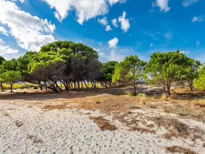 Paesaggio naturale nelle vicinanze dell'appartamento