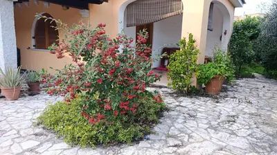 Giardino di KEVIN House