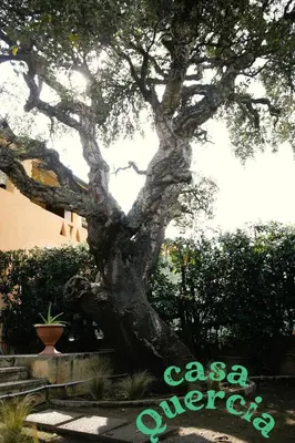 Planimetria di Casa Quercia - Affitti Brevi Italia