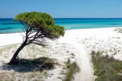 Paesaggio naturale nelle vicinanze dell'appartamento