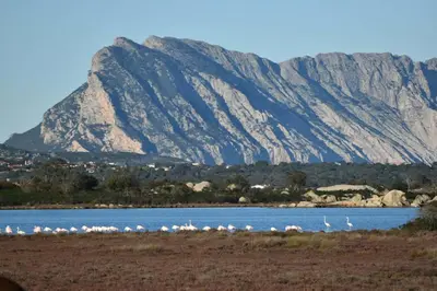 Paesaggio naturale nelle vicinanze della casa vacanze