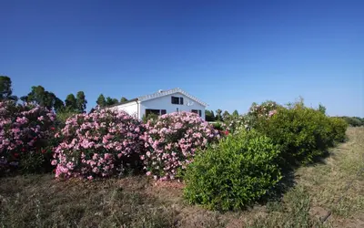 Giardino di Casa Nerelie'S