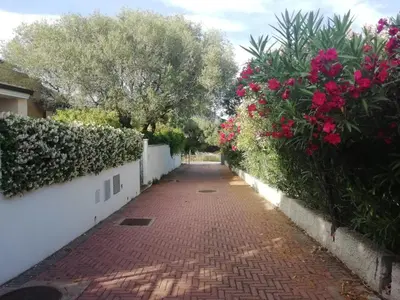 Giardino di Casa vacanze Villa Rosa
