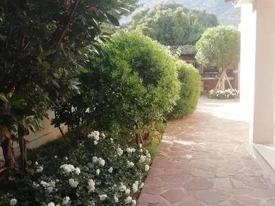 Giardino di Casa vacanze Villa Rosa